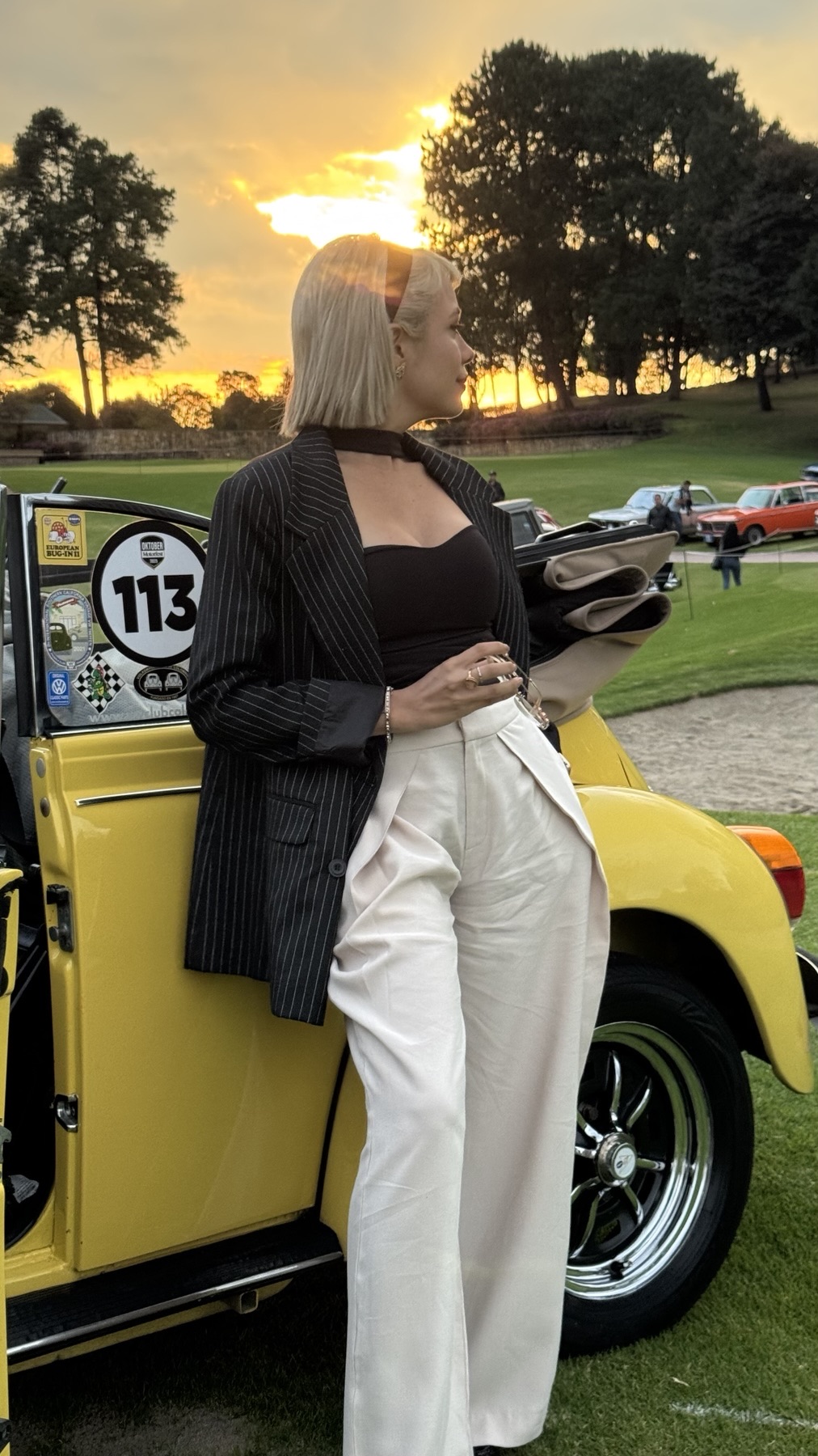 Club de Autos Antiguos y Clásicos — X Exposición Los Lagartos · Clásico Beetle #113