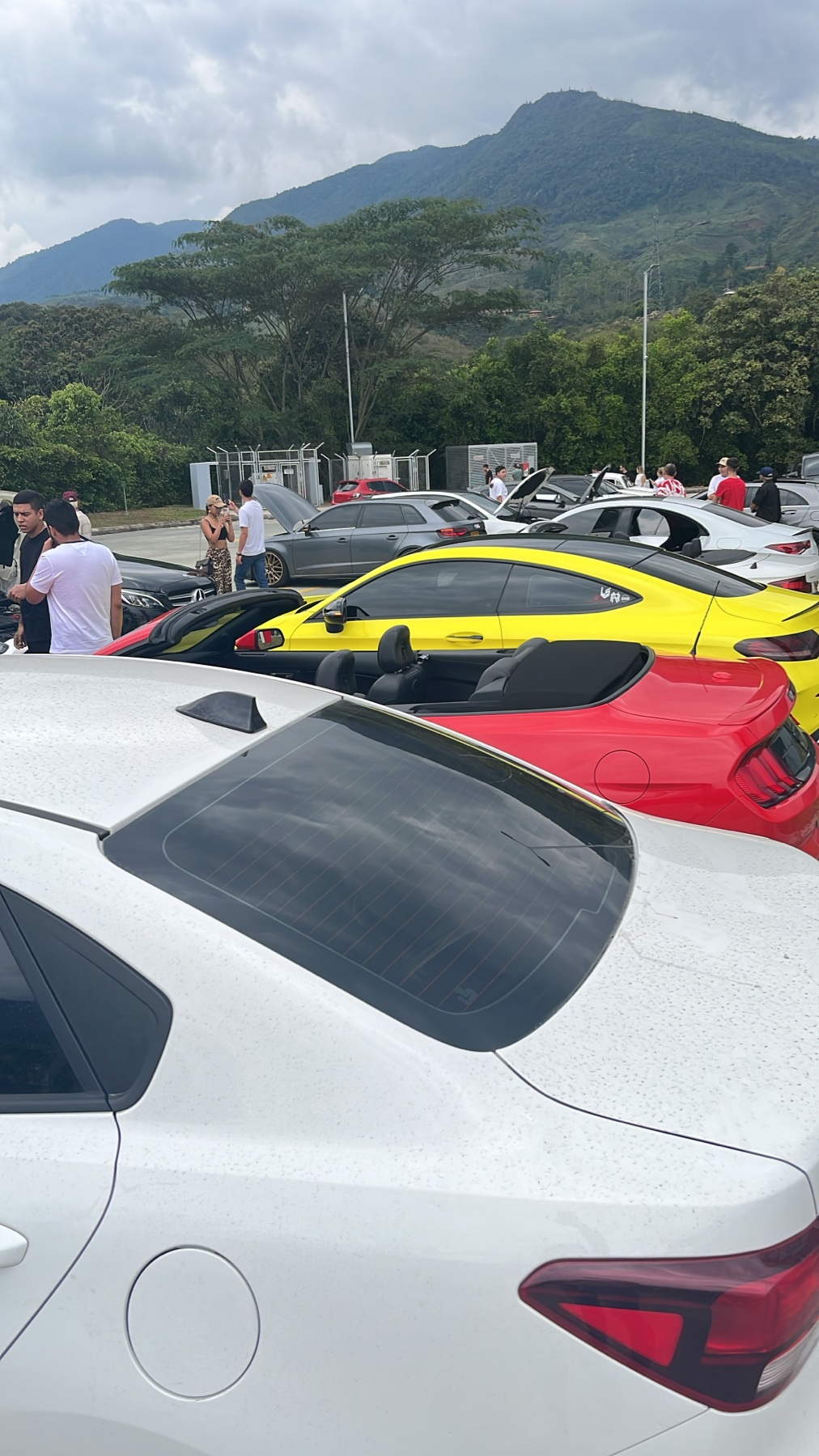 Kia Rio Vibrant — En caravana de montaña junto a deportivos y convertibles.